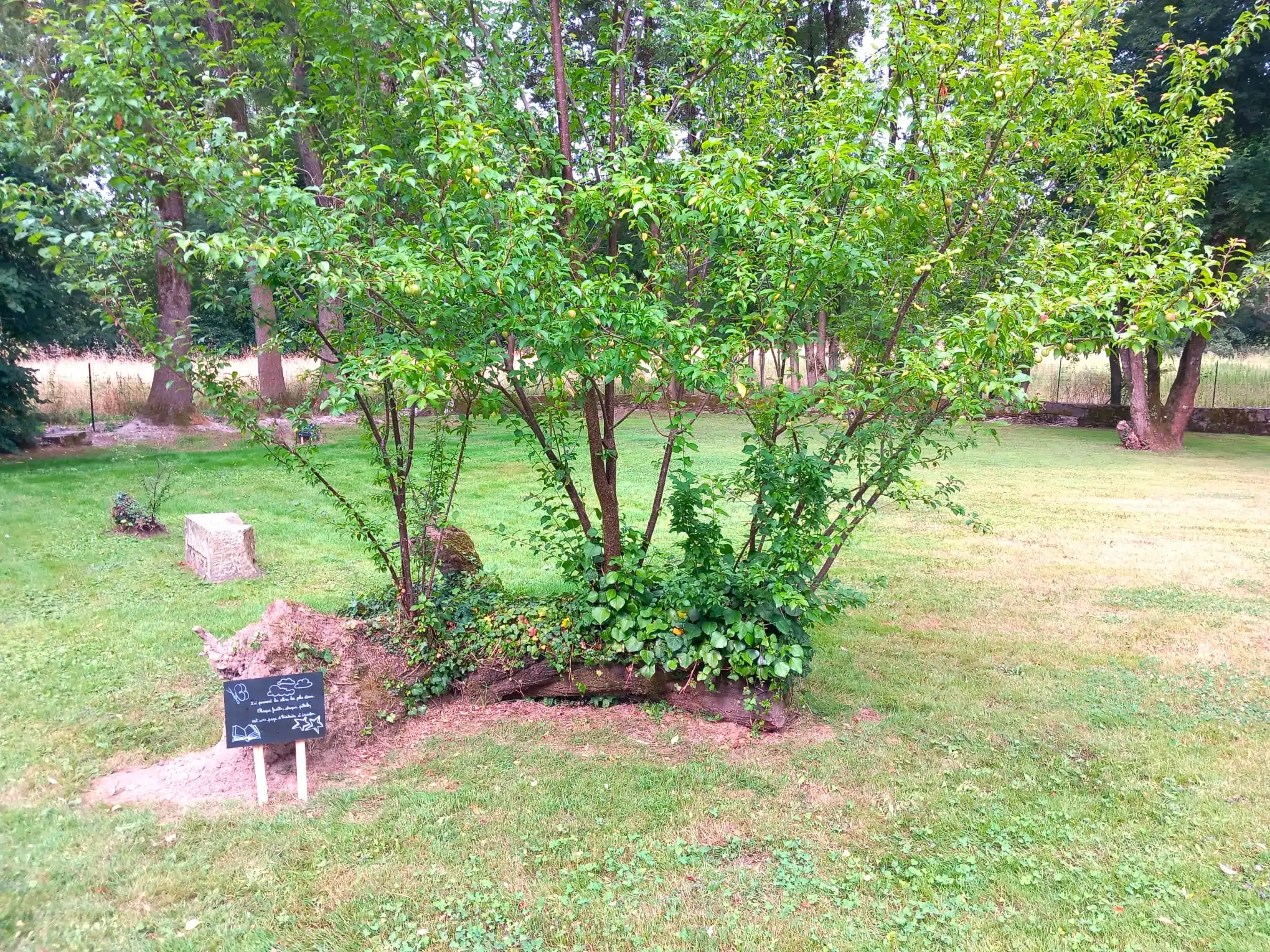 GiteLaMinoterie_Ressourçant_Vendée_Jardin 11