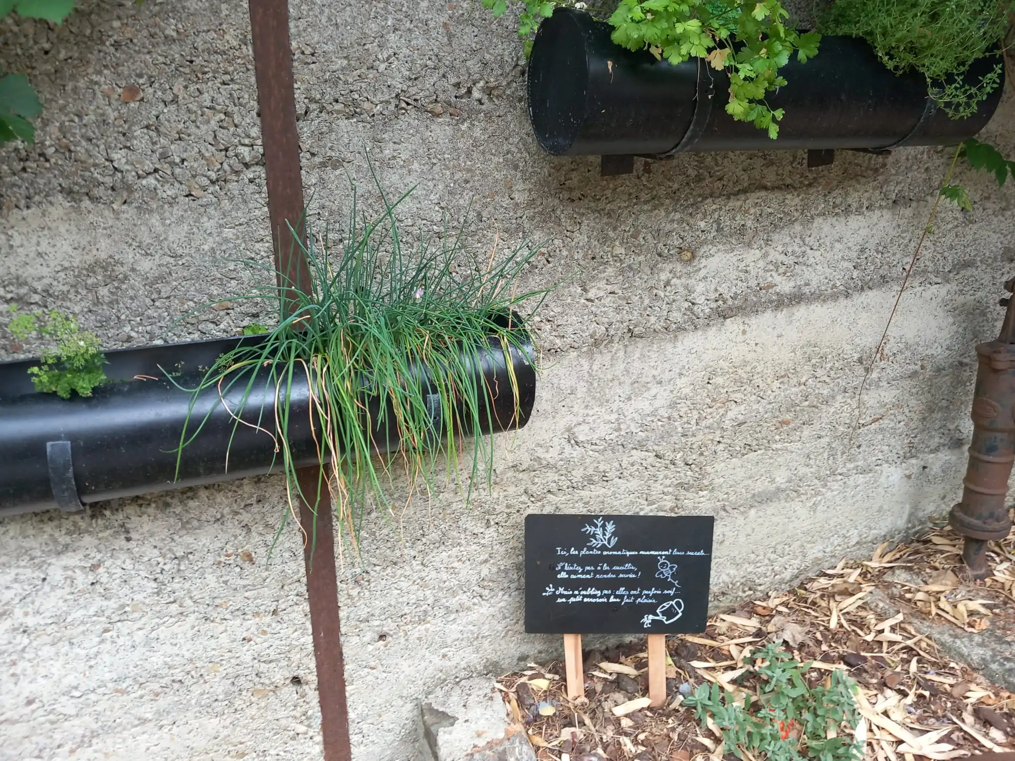 GiteLaMinoterie_Ressourçant_Vendée_Jardin