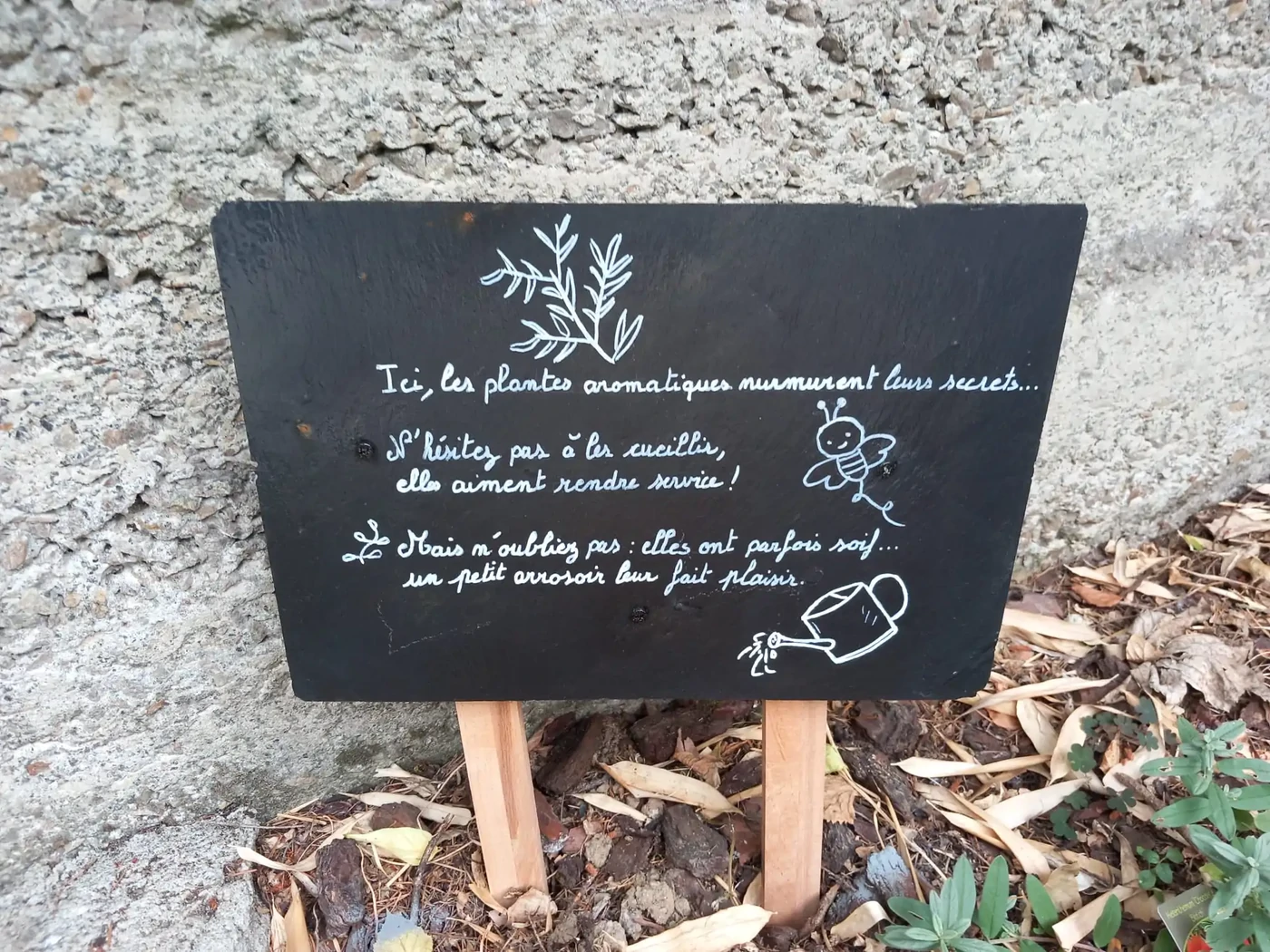 Messages inspirants disséminés dans le jardin pour inviter à la reconnexion