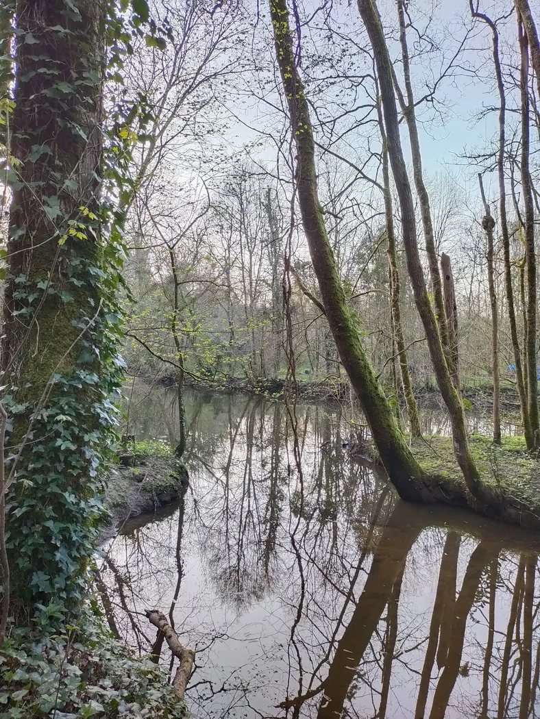 Les bords de la Boulogne